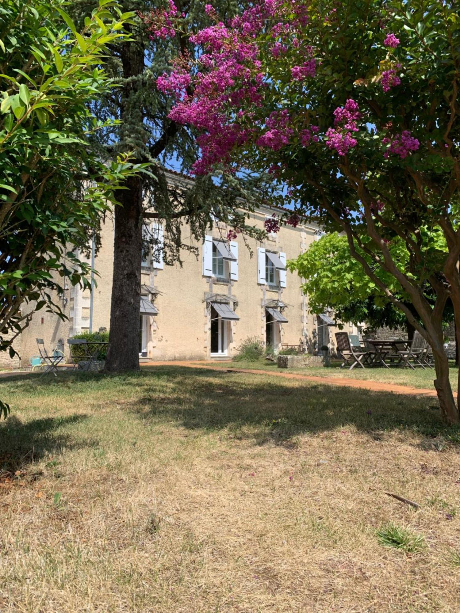 The Cool Lounge A Coulonges - Charente Bed and Breakfast Buitenkant foto