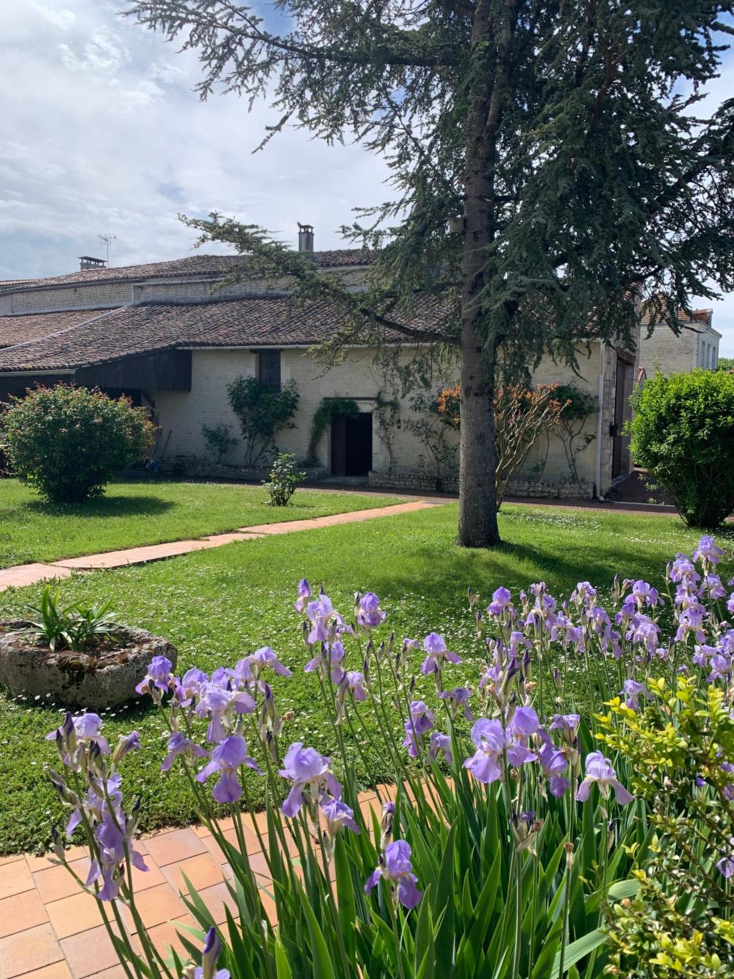 The Cool Lounge A Coulonges - Charente Bed and Breakfast Buitenkant foto